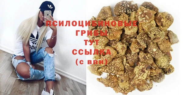 героин Алзамай