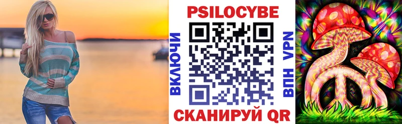 Галлюциногенные грибы мицелий  продажа наркотиков  OMG ссылка  Новоалександровск 