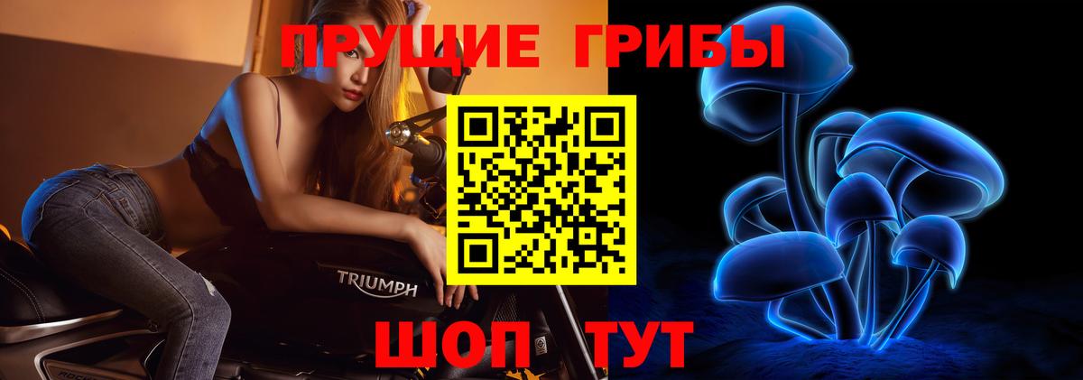 Галлюциногенные грибы Magic Shrooms Новоалександровск